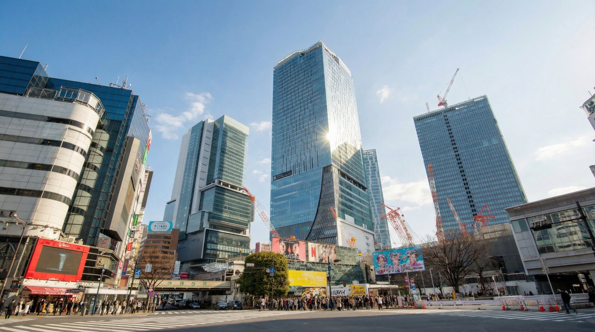 晴天に補正した写真